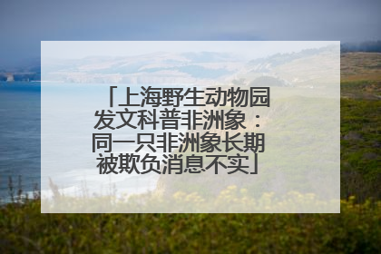 上海野生动物园发文科普非洲象：同一只非洲象长期被欺负消息不实